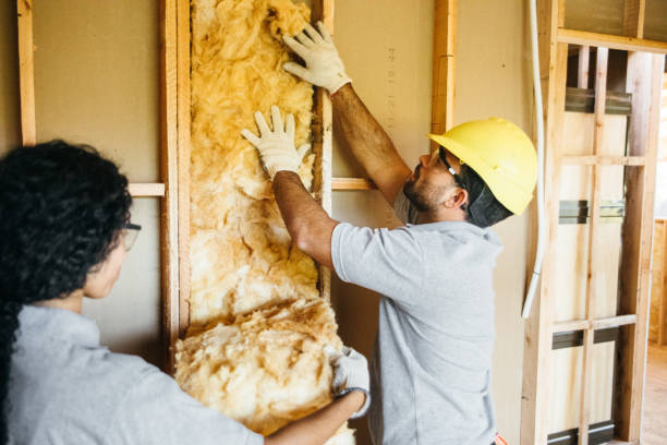 Best Fireproof Insulation  in University Center, VA