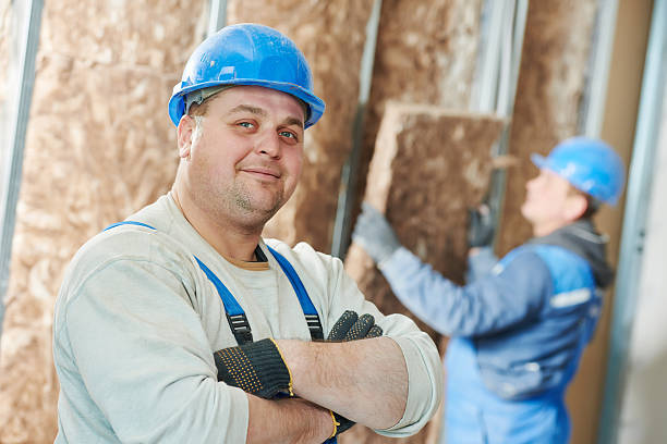 Best Eco-Friendly or Green Insulation Solutions  in University Center, VA